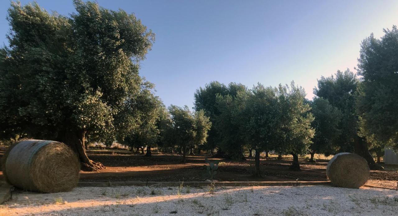 Da Annamare Villa Montalbano  Eksteriør bilde
